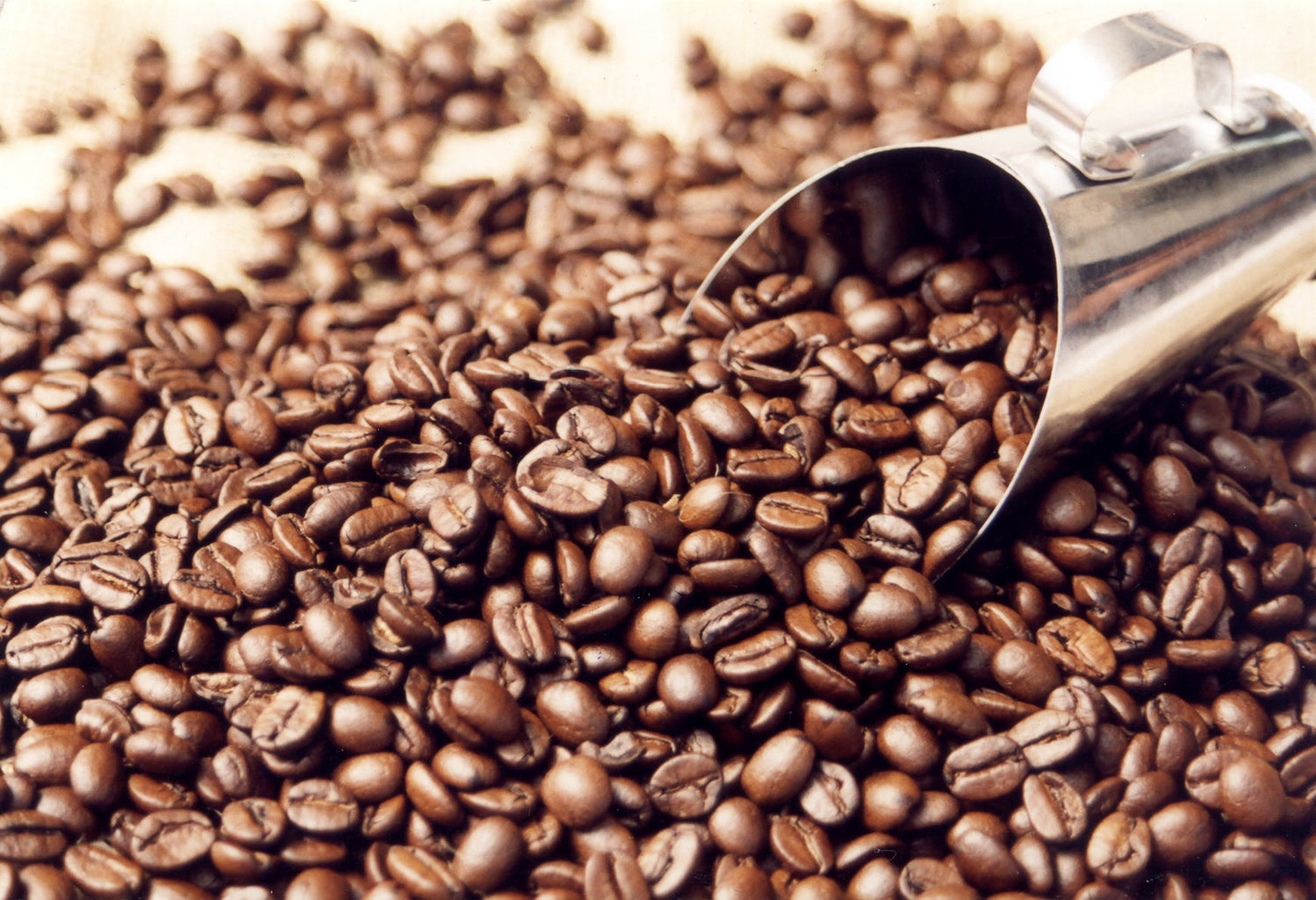 Coffee Beans Coated - Sku 3000